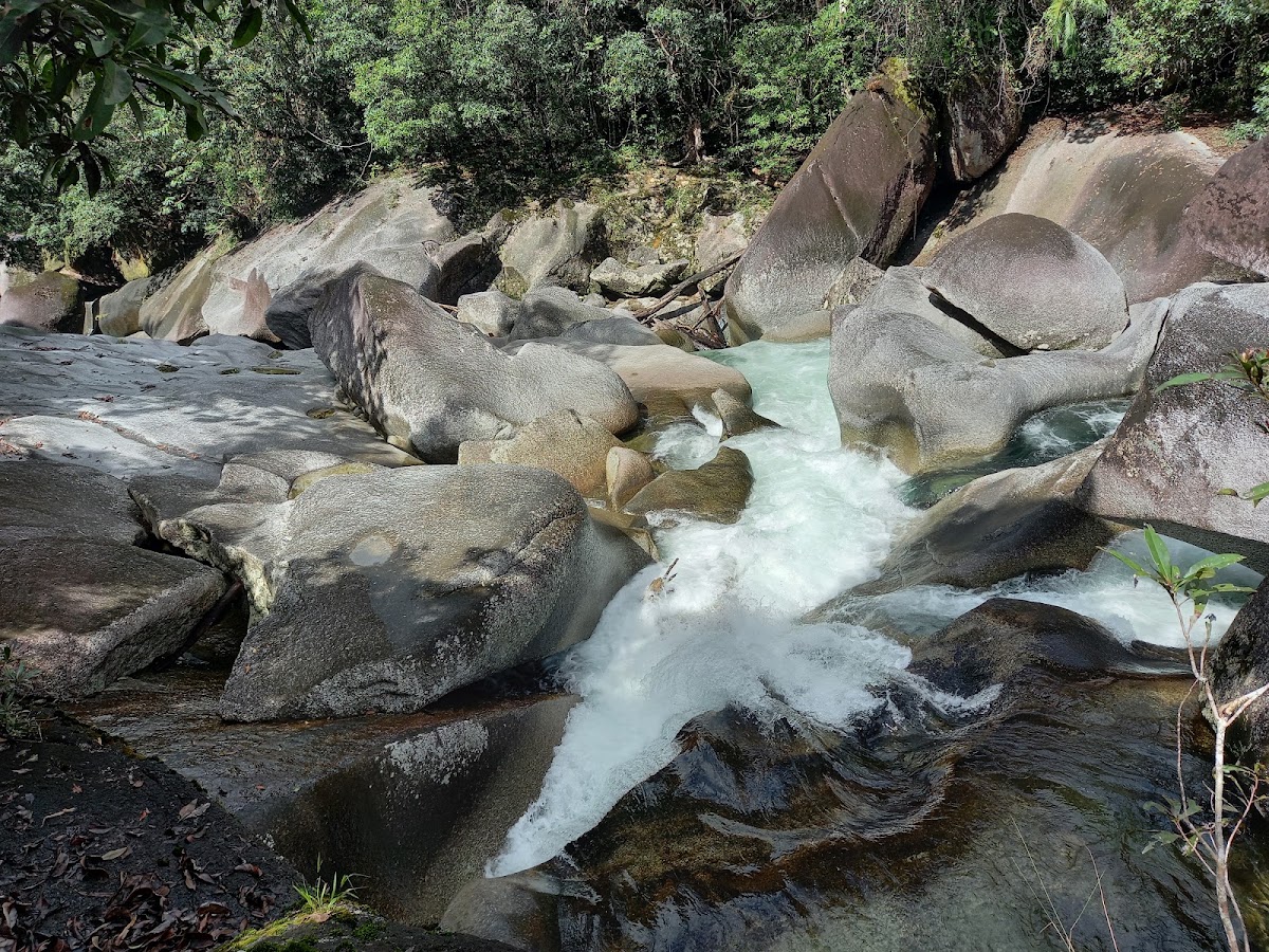 Girramay National Park