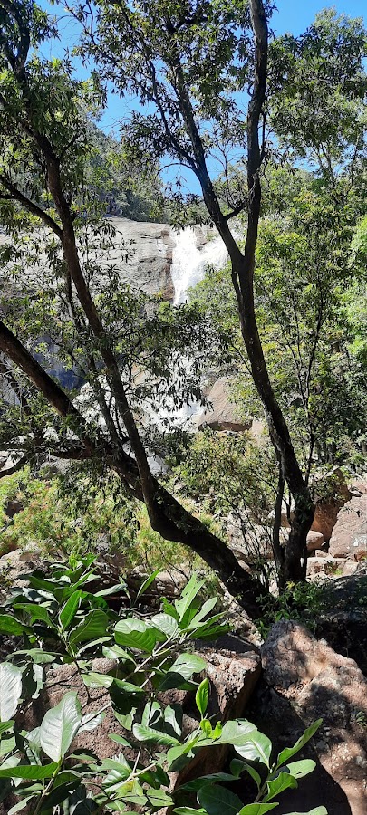 Girramay National Park