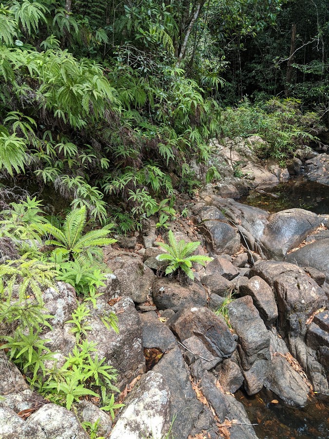 Ethel Falls