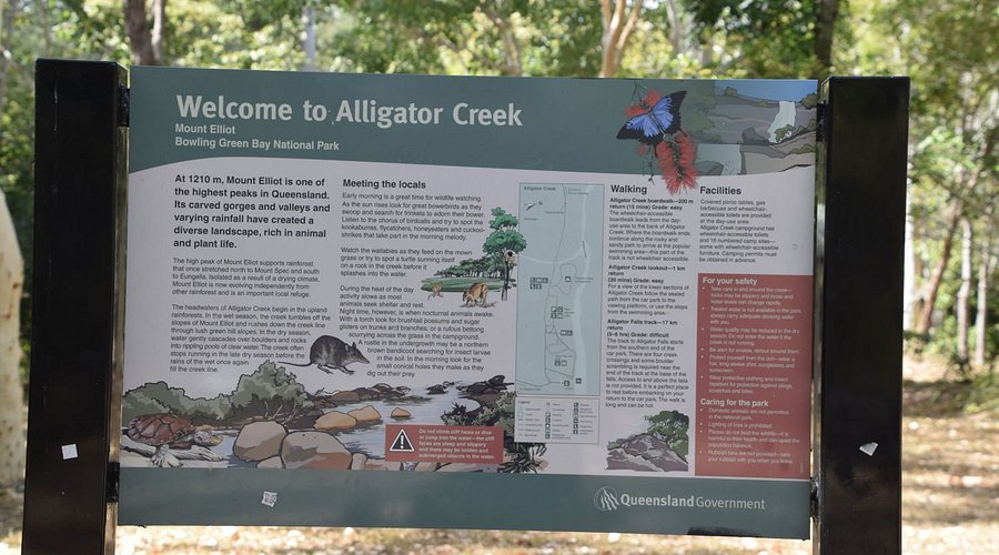 Alligator Creek Falls