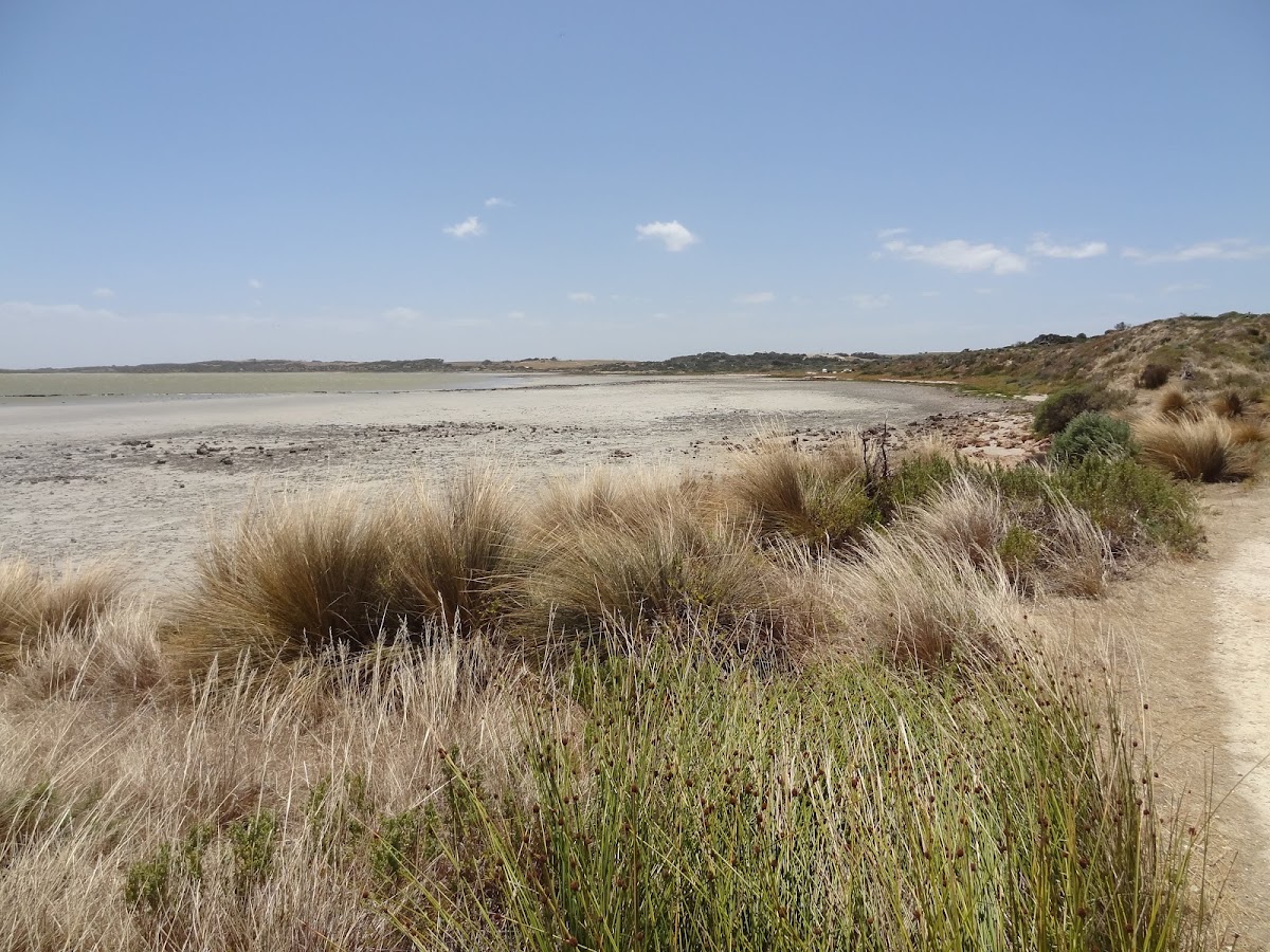 Coorong National Park