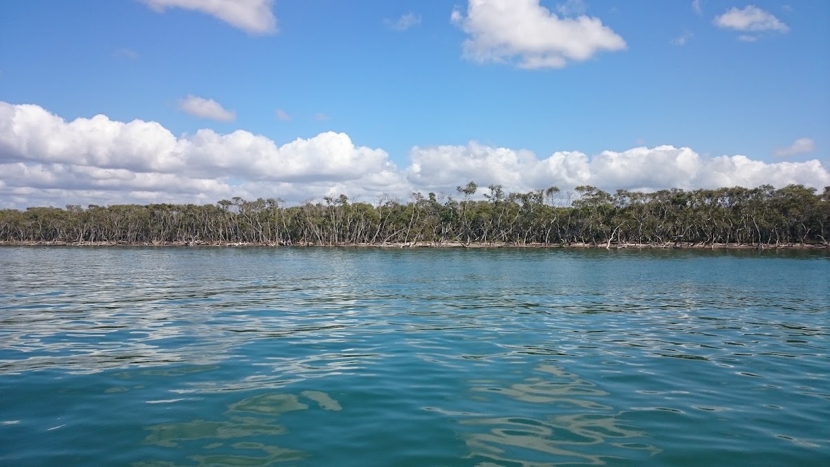 Hays Inlet Conservation Park 1