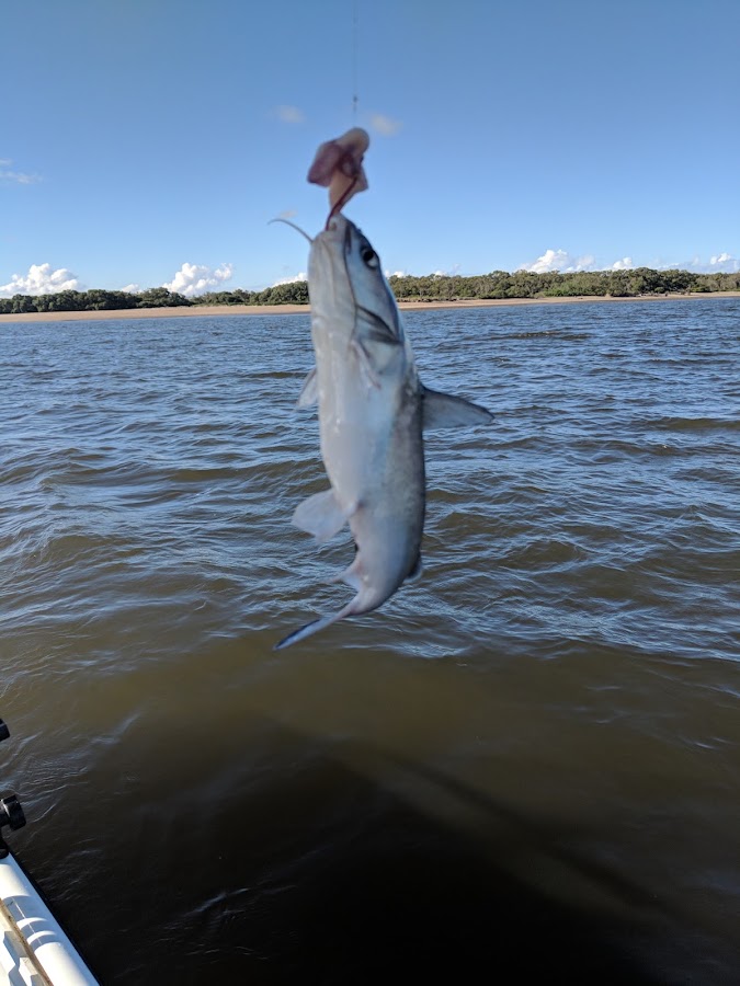 Hays Inlet Conservation Park 1