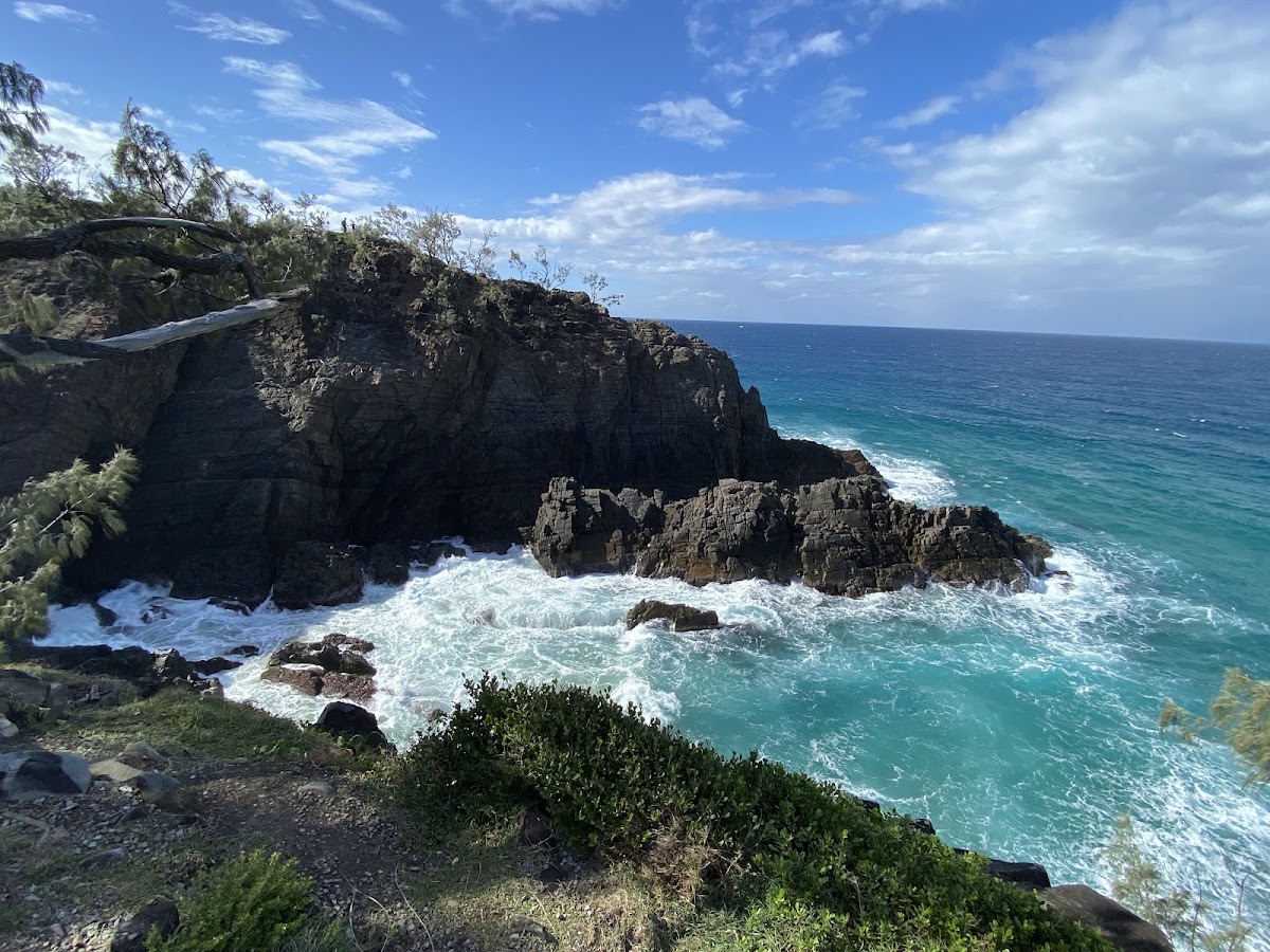 Noosa Conservation Park