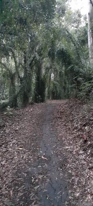 Baddow Island Conservation Park
