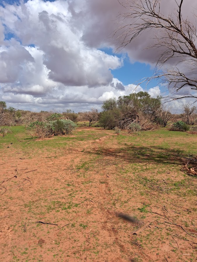 Edaggee Rest Area