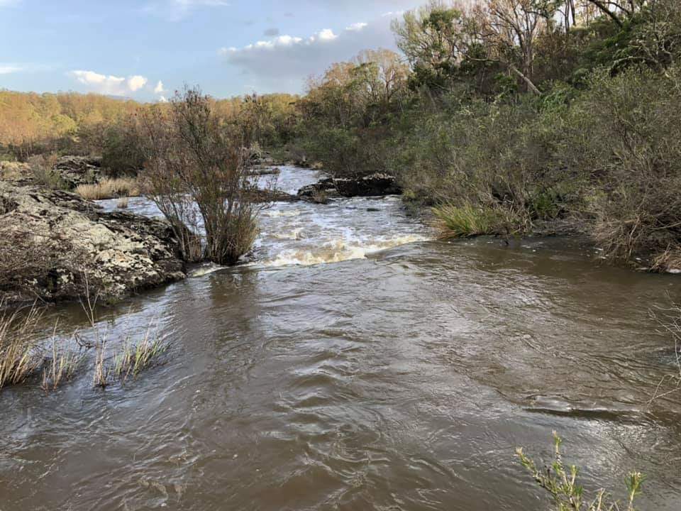 Oxley Wild Rivers National Park