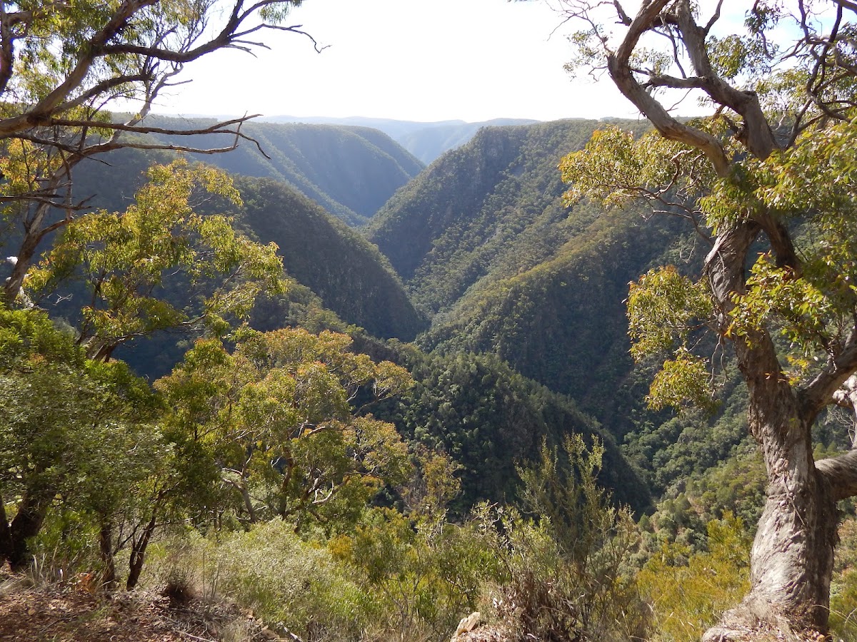 Oxley Wild Rivers National Park