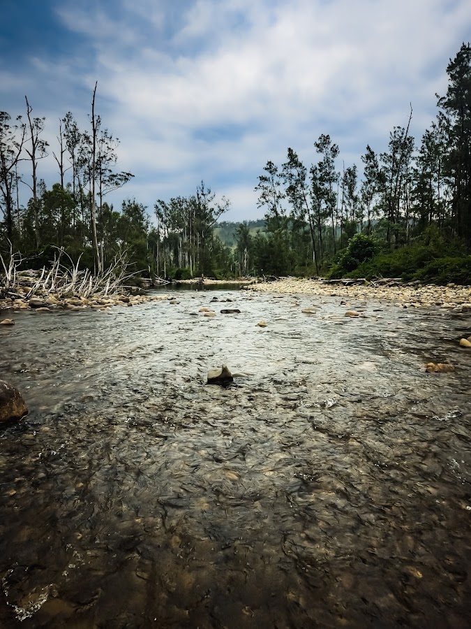 Oxley Wild Rivers National Park