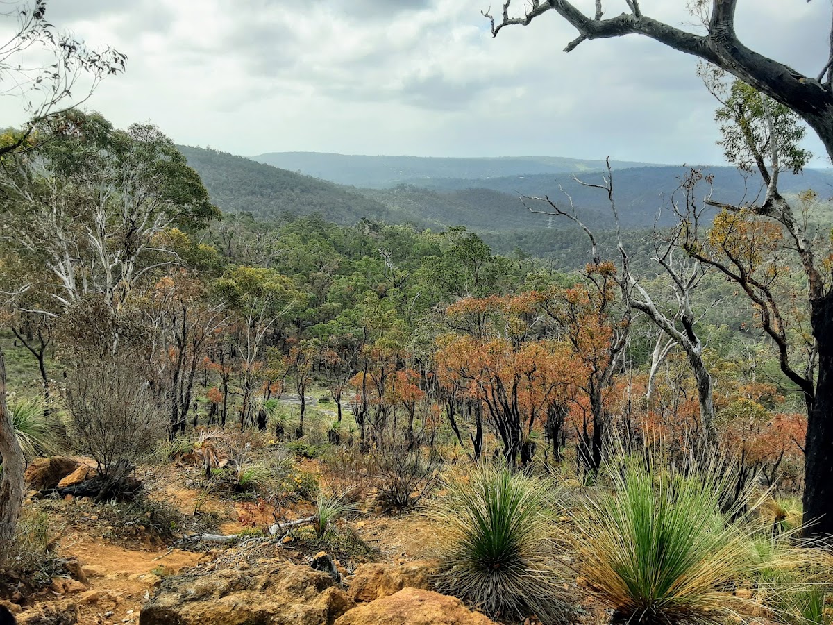 Kalamunda National Park