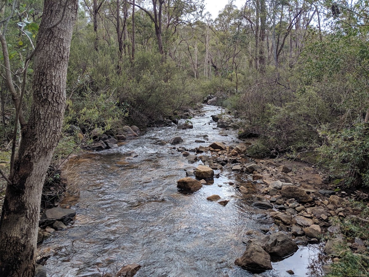 Kalamunda National Park