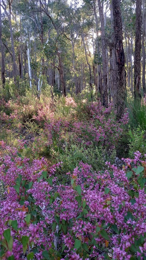 Kalamunda National Park