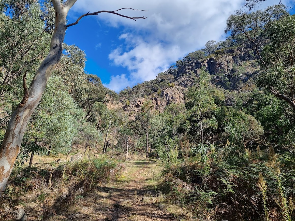 Briens Gorge Falls