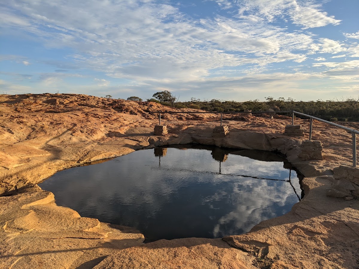 Camel Soak
