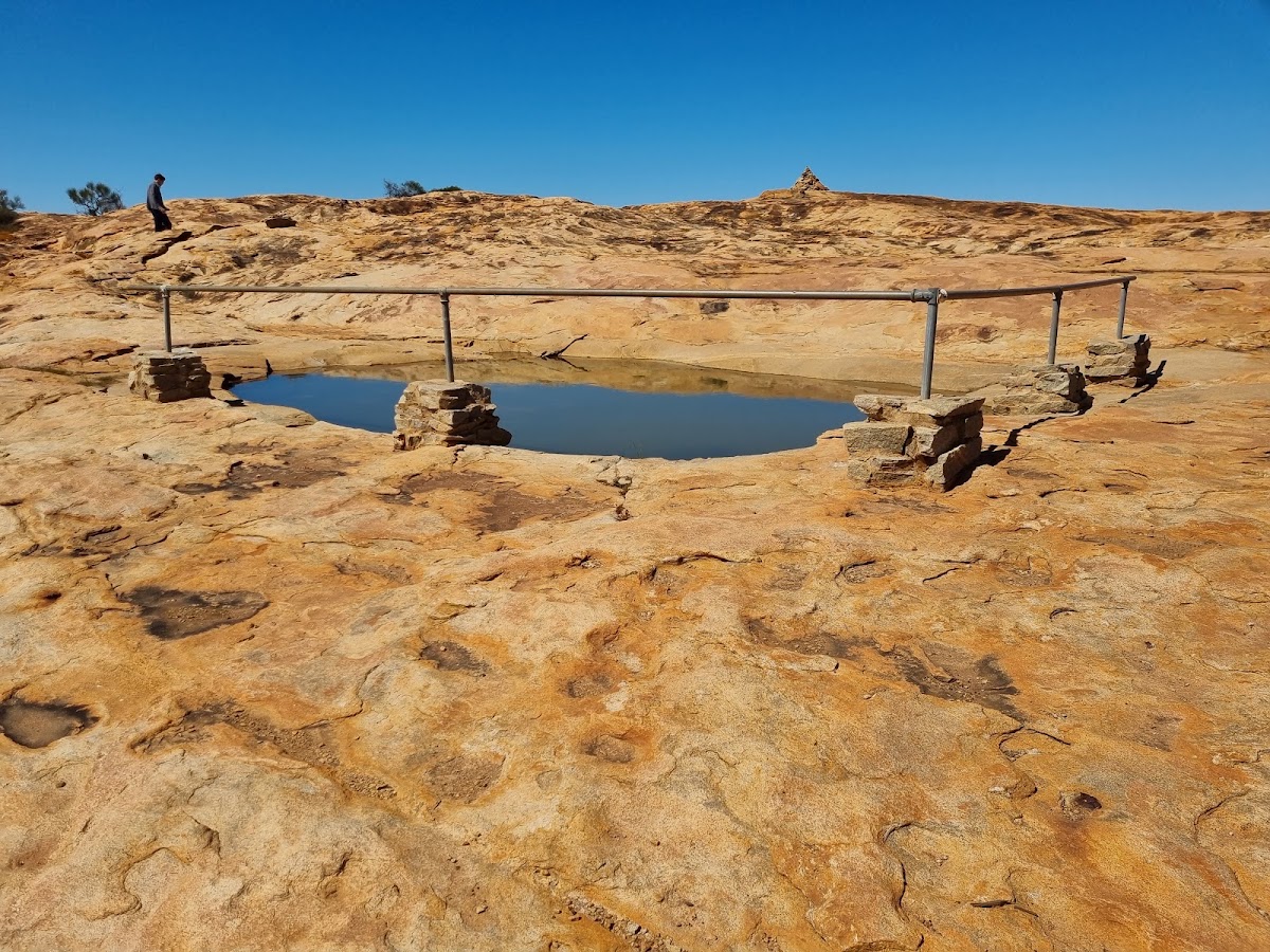 Camel Soak