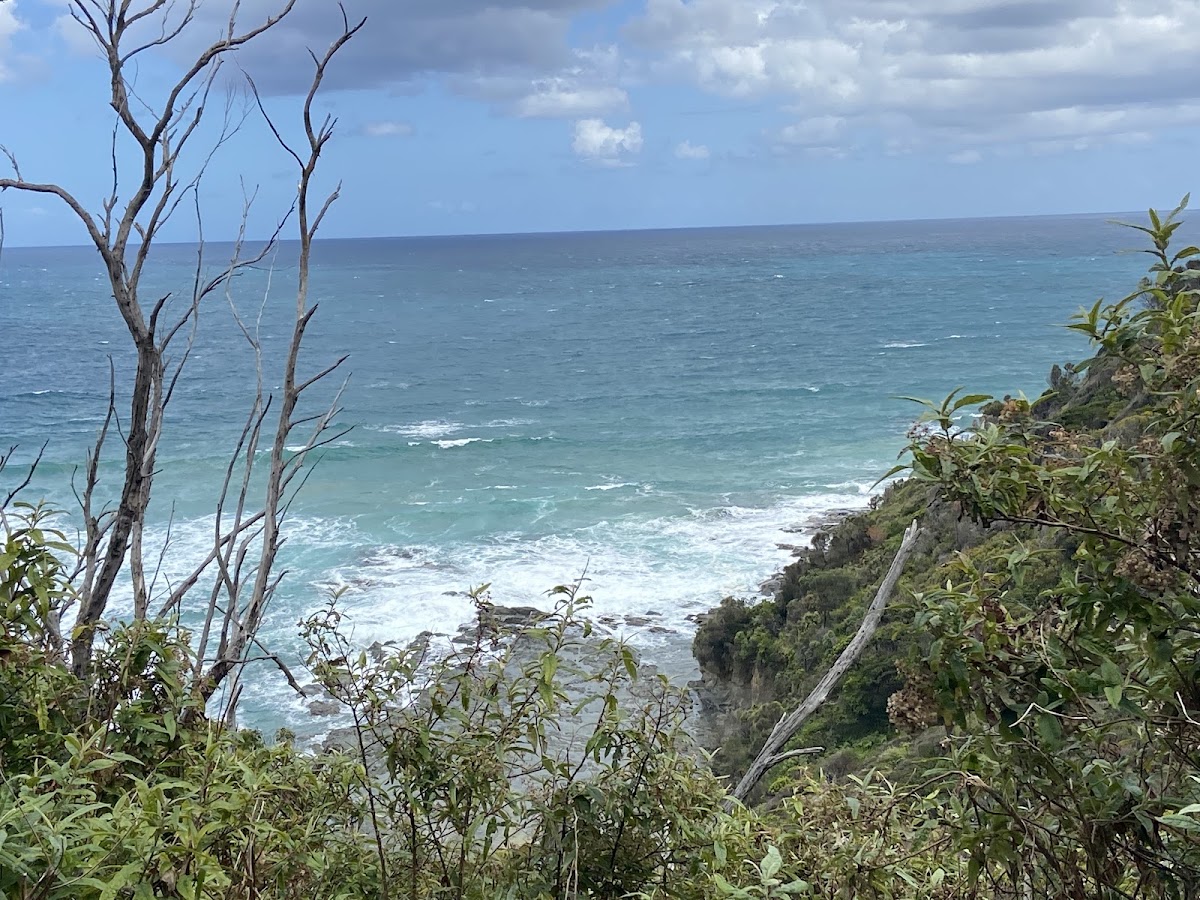 Shelly Beach