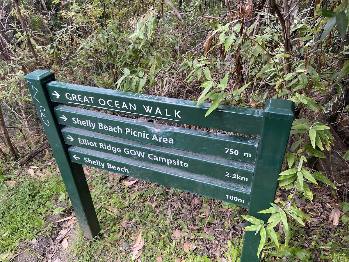 Shelly Beach