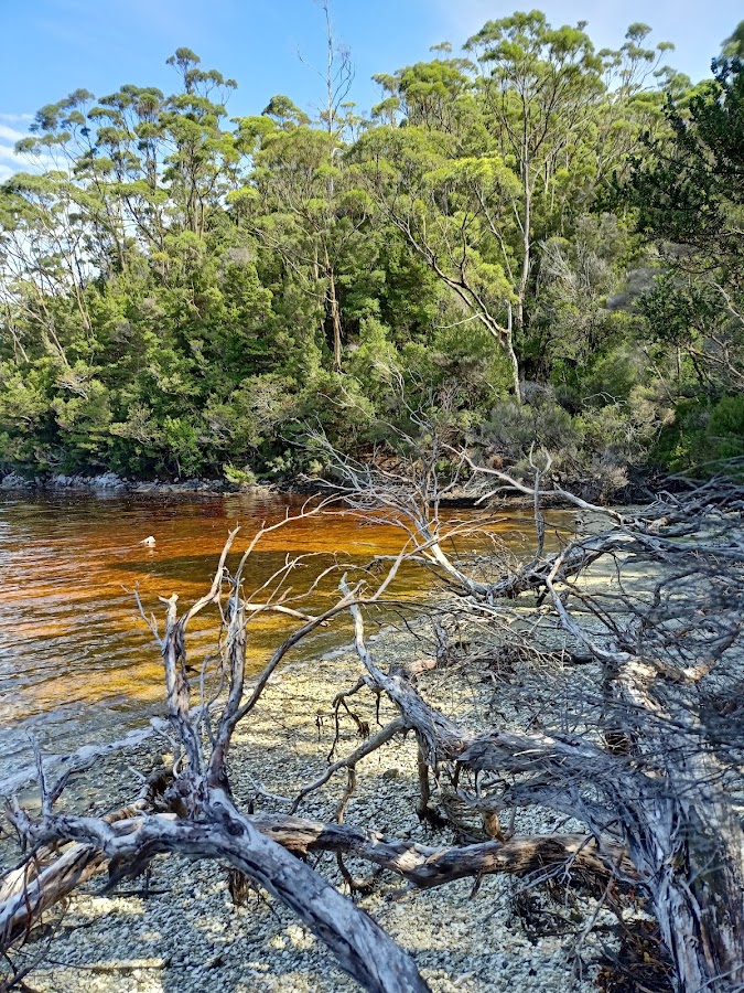 Balmoral Beach