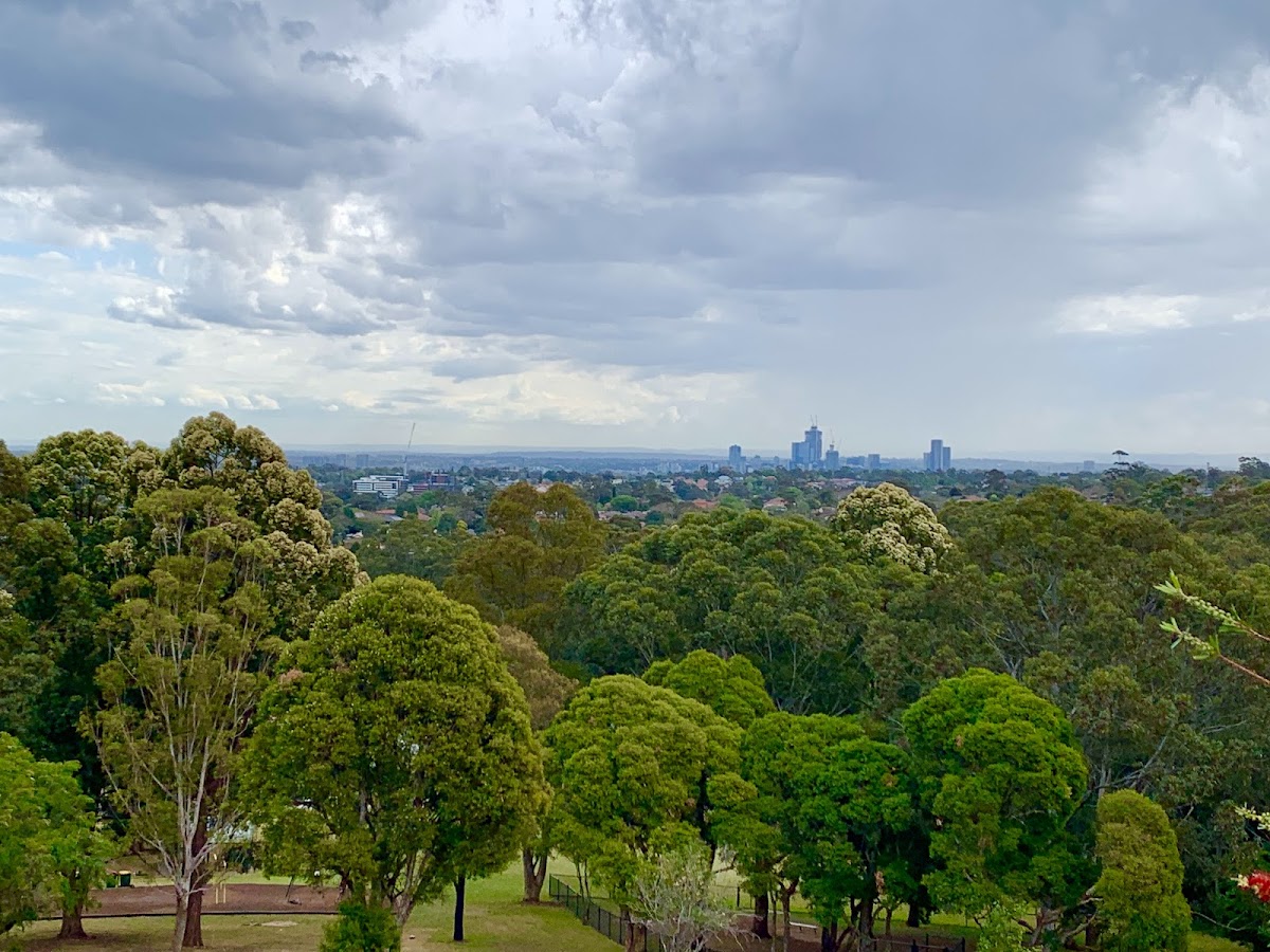 Terry Road Lookout