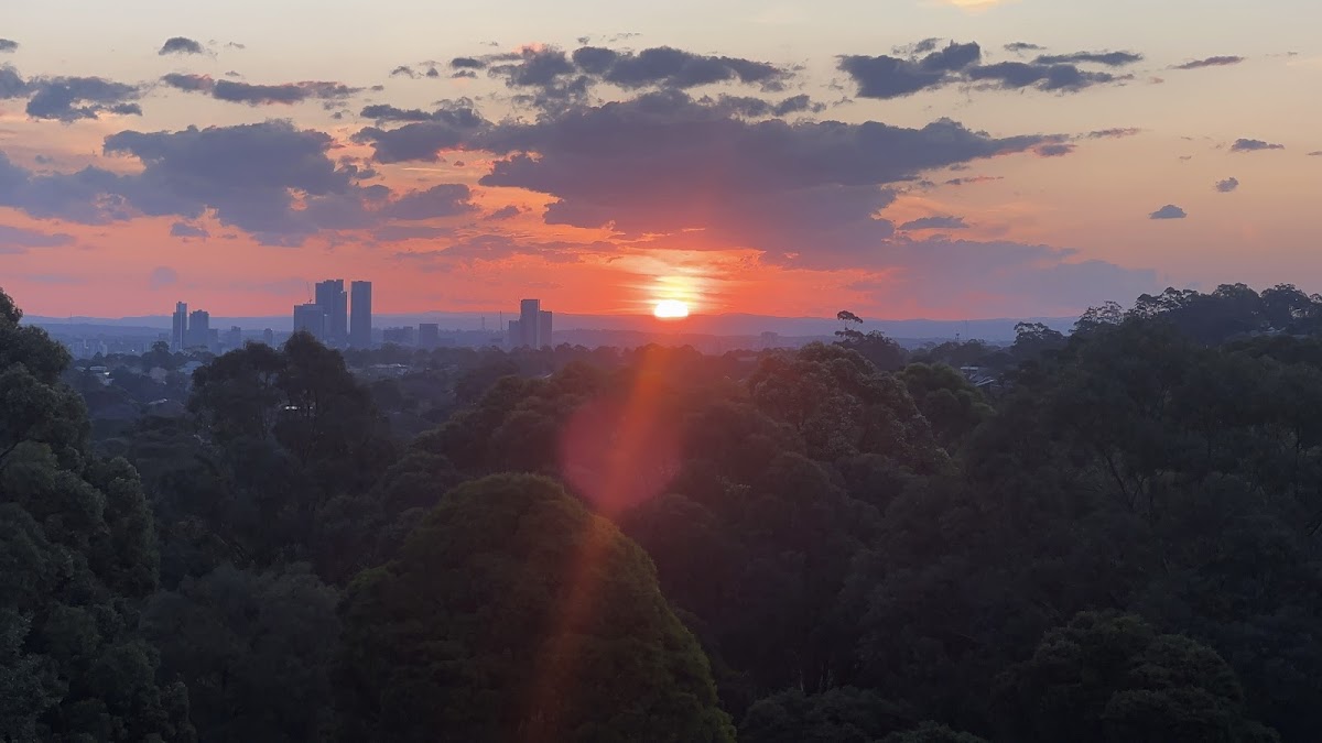 Terry Road Lookout