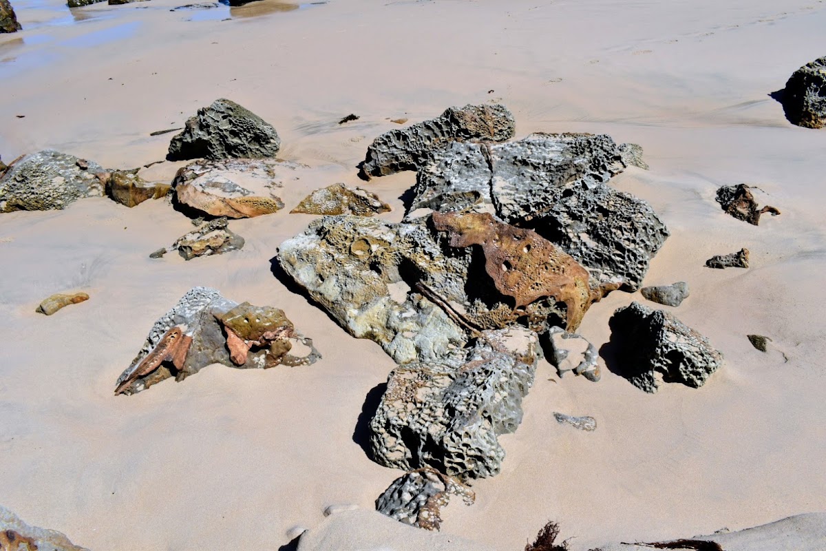 Island Beach