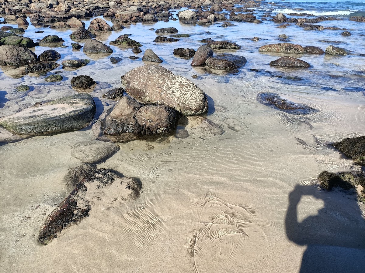 Island Beach