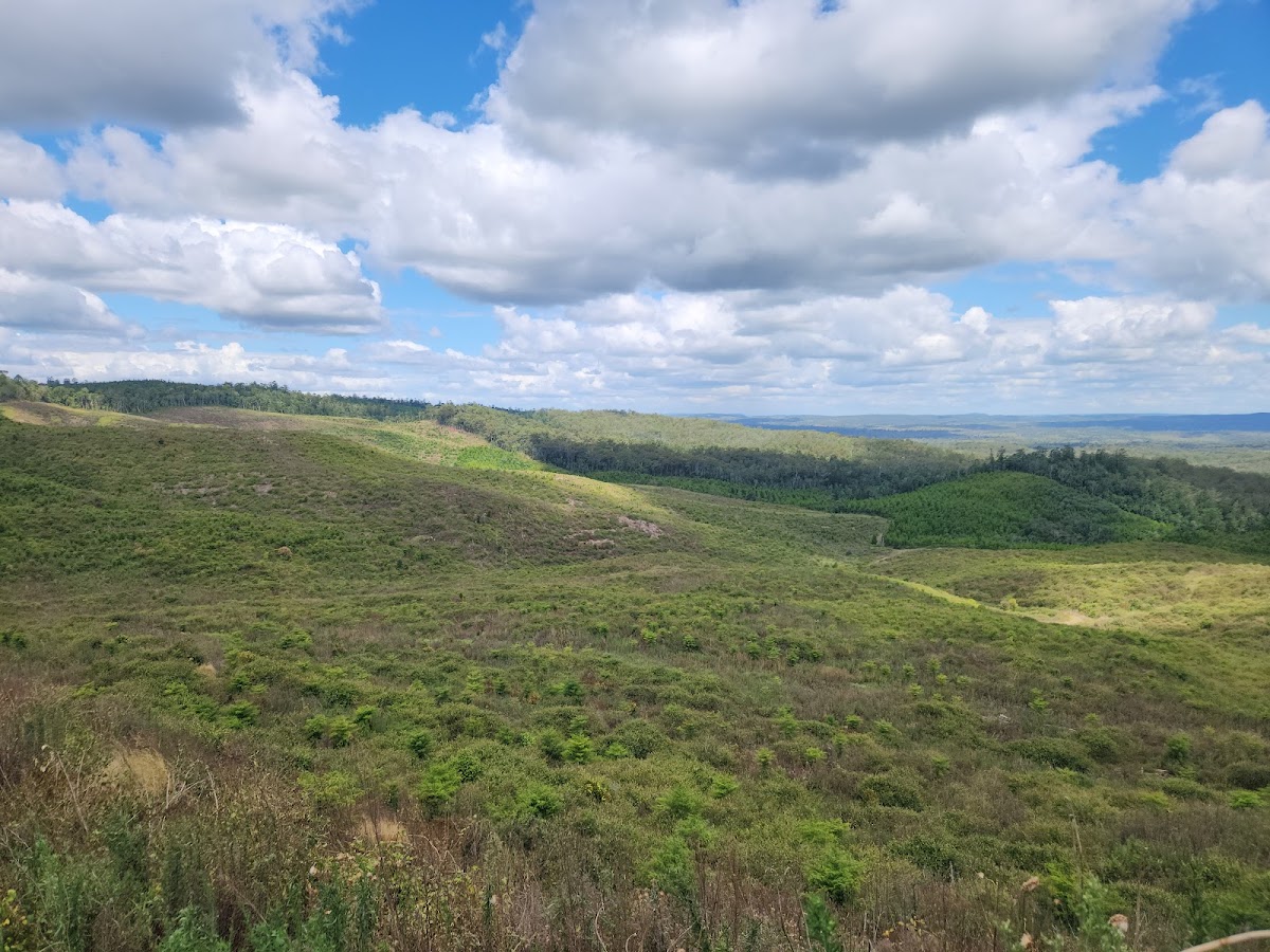 Mount Binga National Park