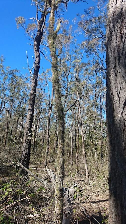 Mount Binga National Park