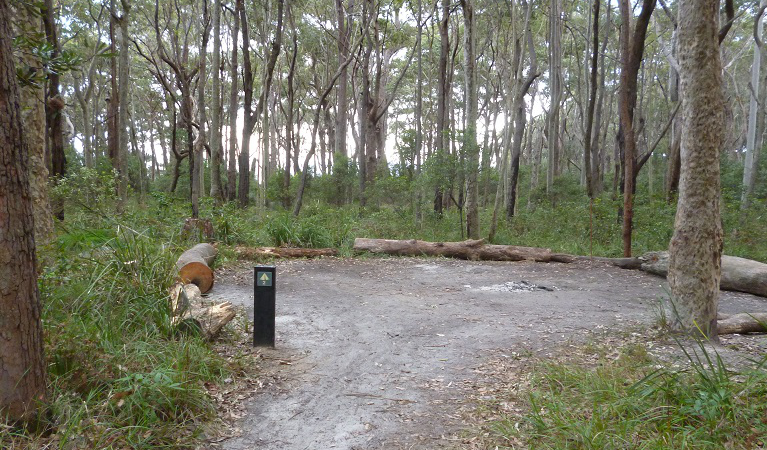 Meroo Beach Dispersed Camp Site