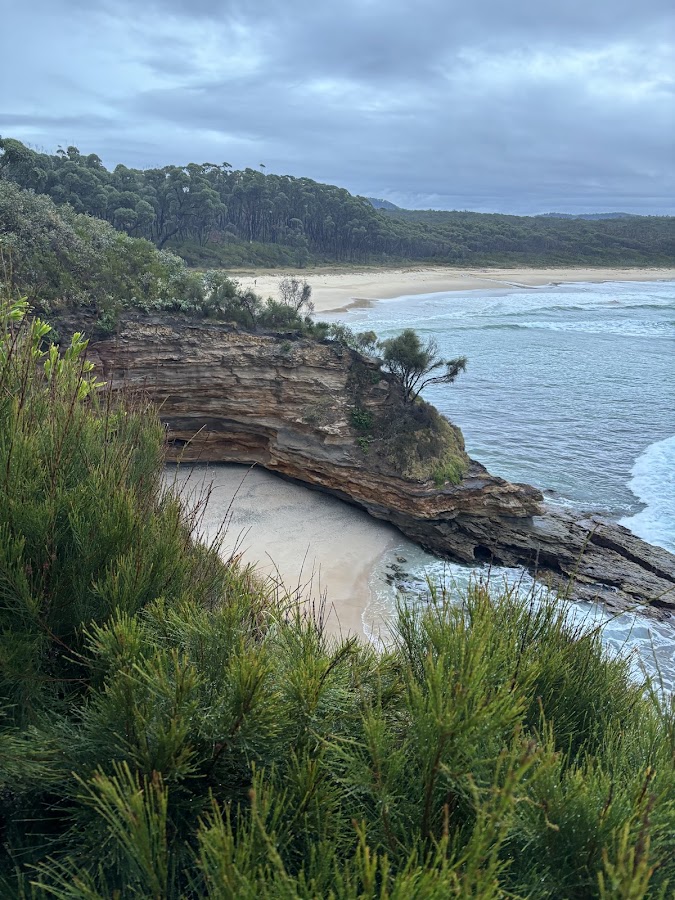 Meroo Beach Dispersed Camp Site