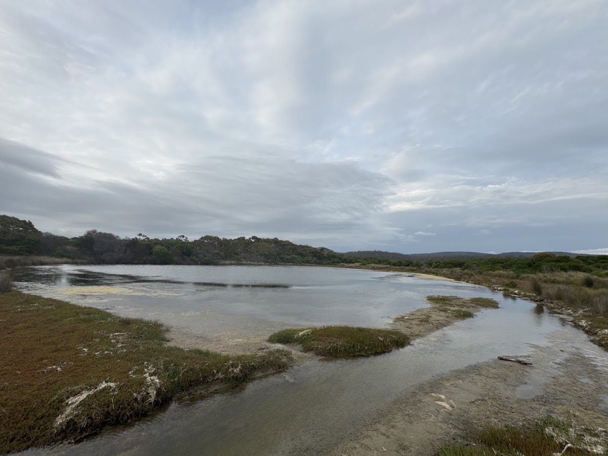Sandpiper Beach