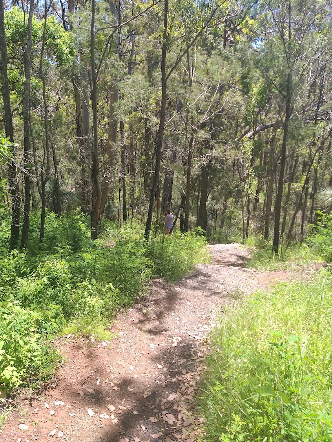 Spicers Gap Road Conservation Park