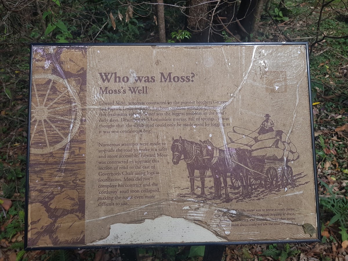 Spicers Gap Road Conservation Park