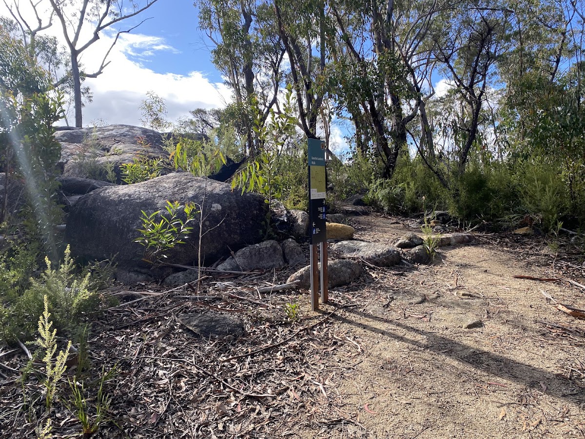 Granite Lookout