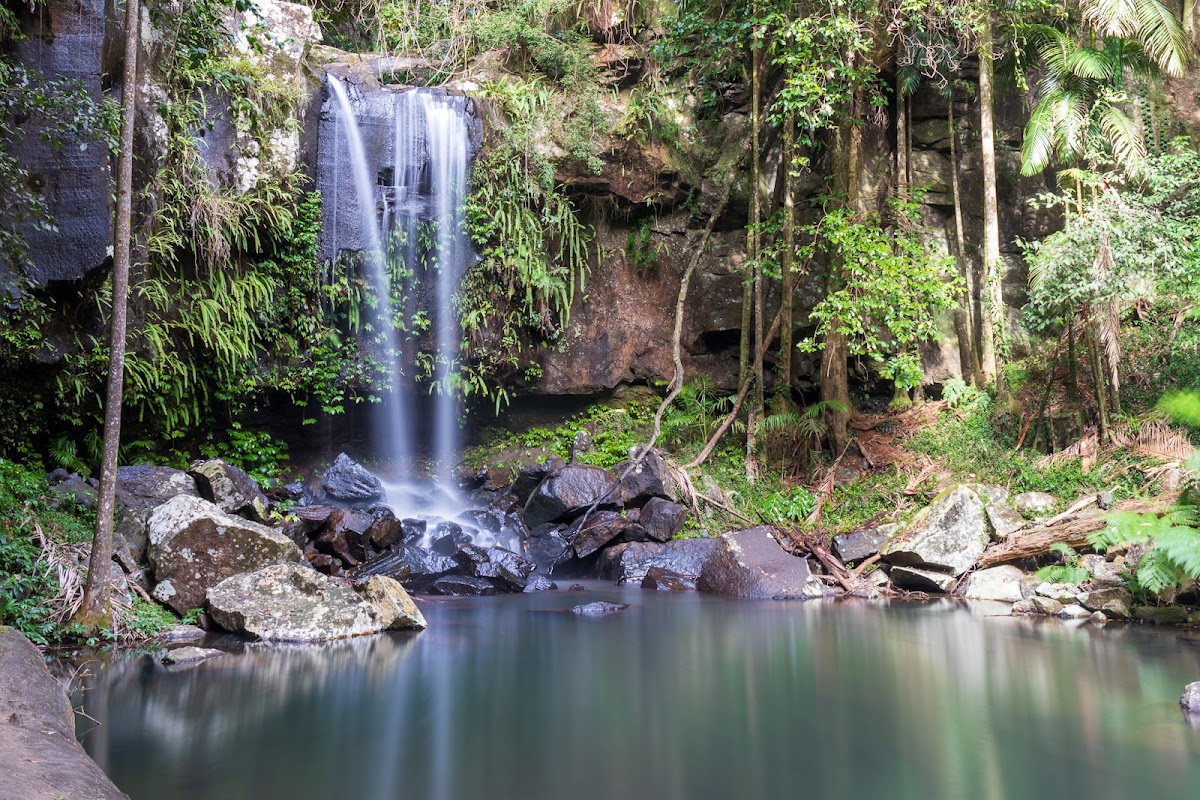 Tamborine National Park