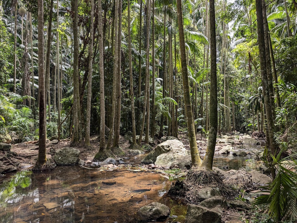 Tamborine National Park