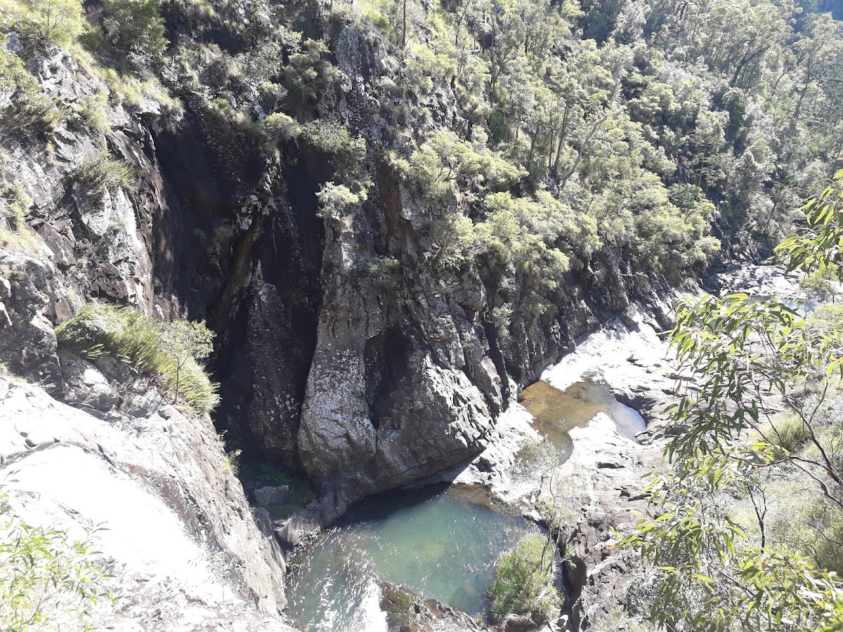 Tamborine National Park