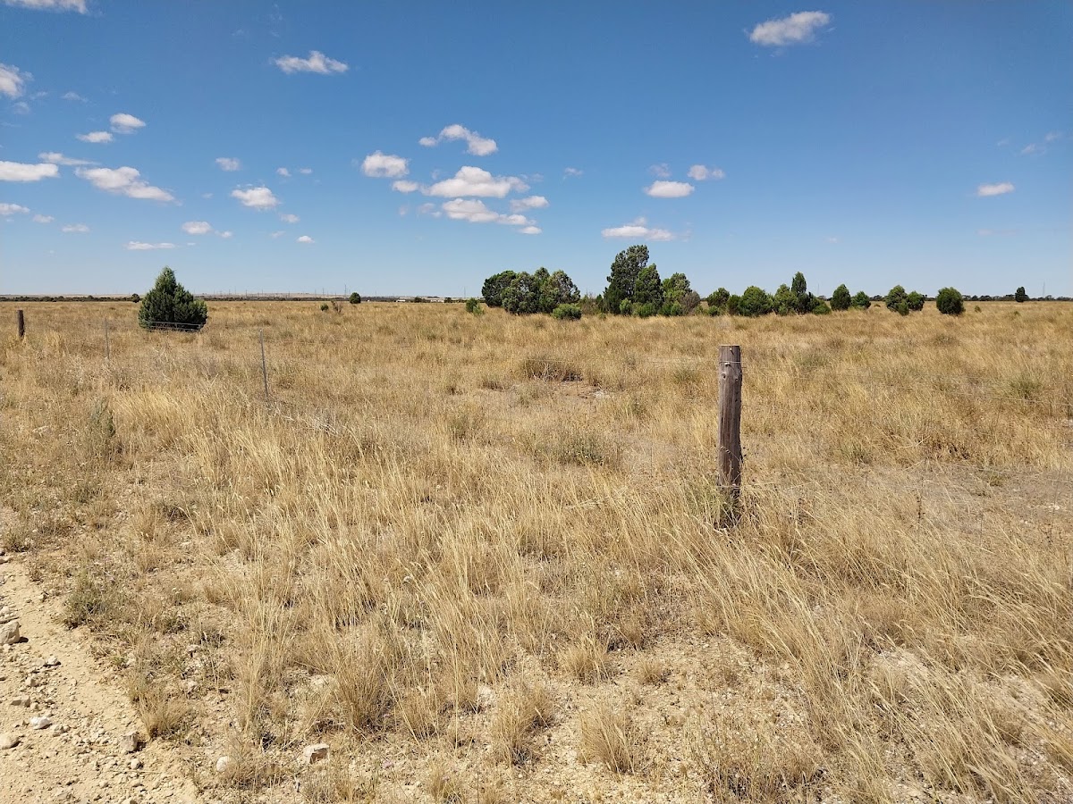 Poonthie Ruwe Conservation Park