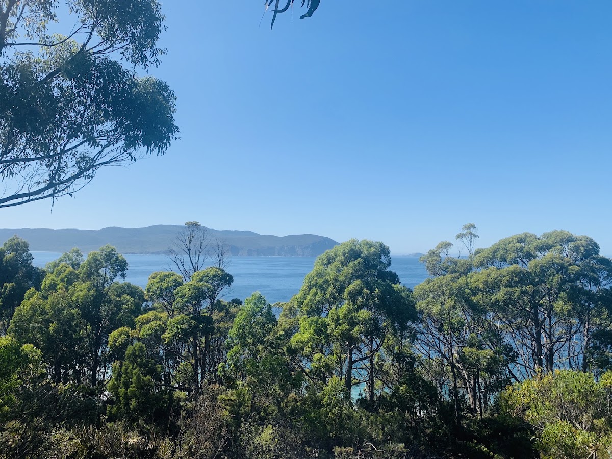 Mabel Bay Lookout