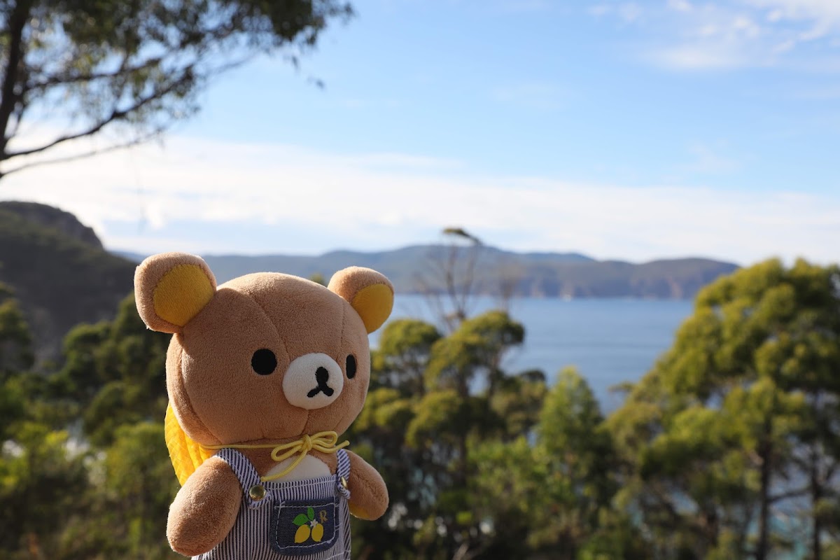 Mabel Bay Lookout