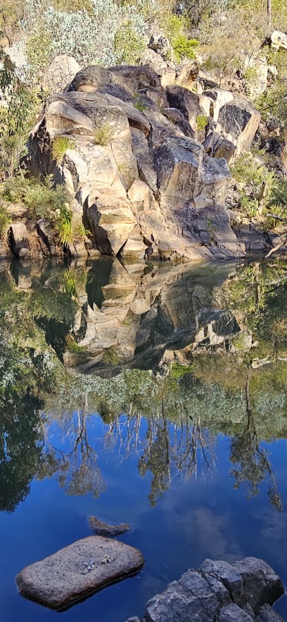 Bottlebrush Pool