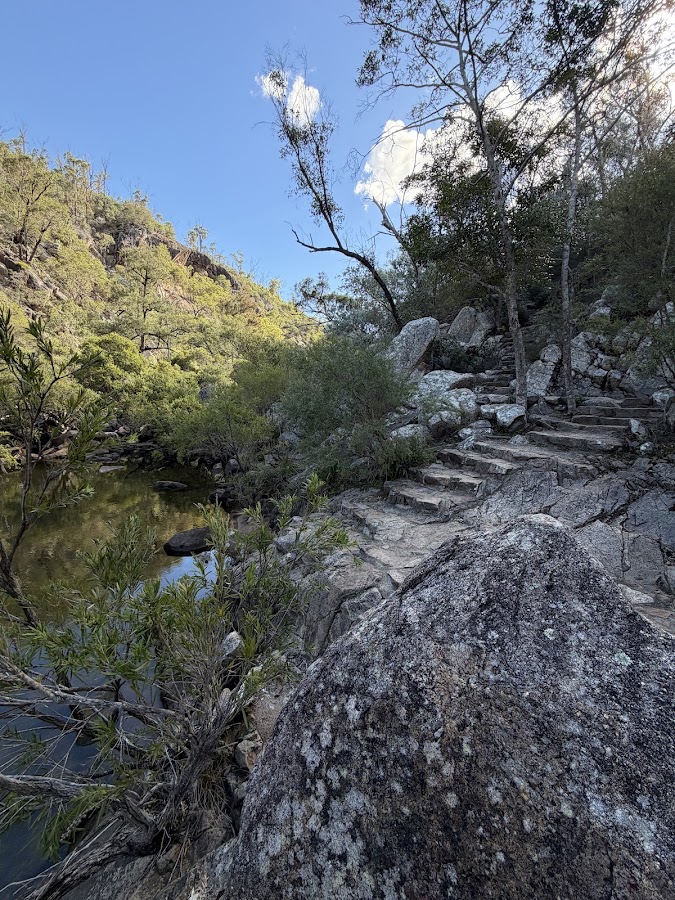 Bottlebrush Pool