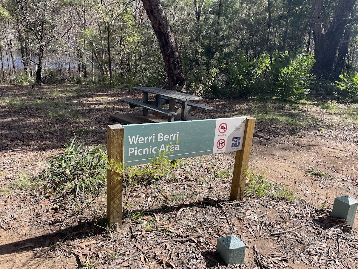 Thirlmere Lakes National Park
