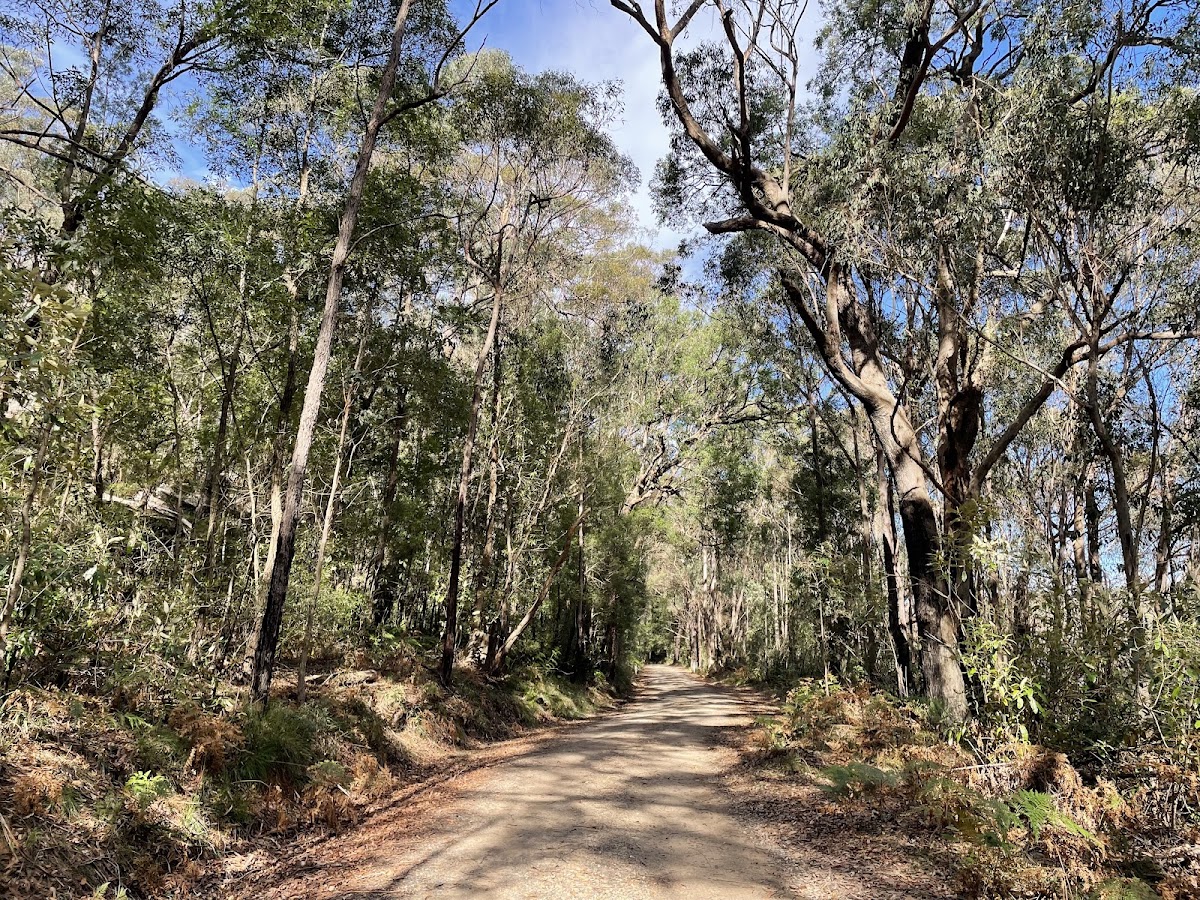 Thirlmere Lakes National Park