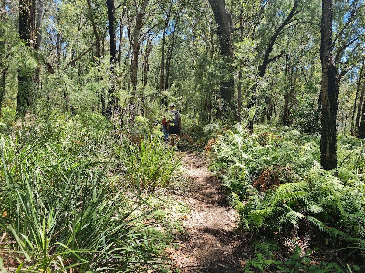 Thirlmere Lakes National Park