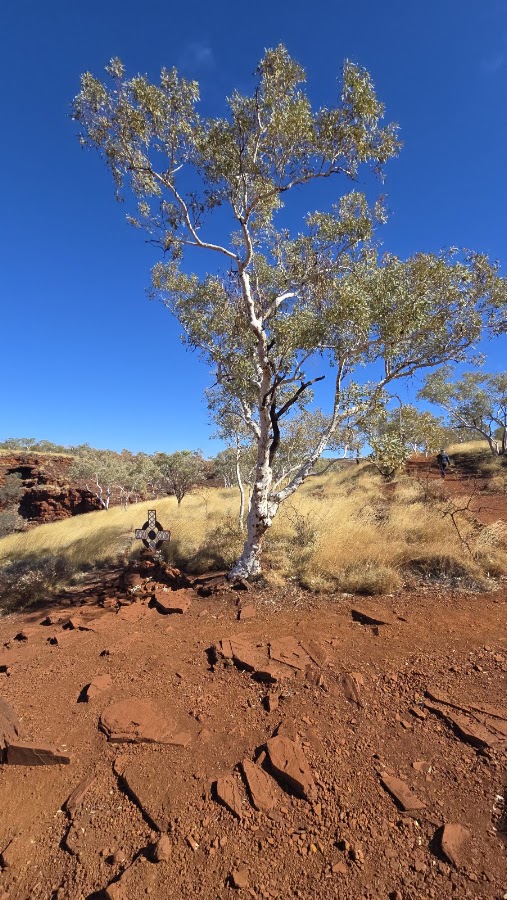 Oxer Lookout