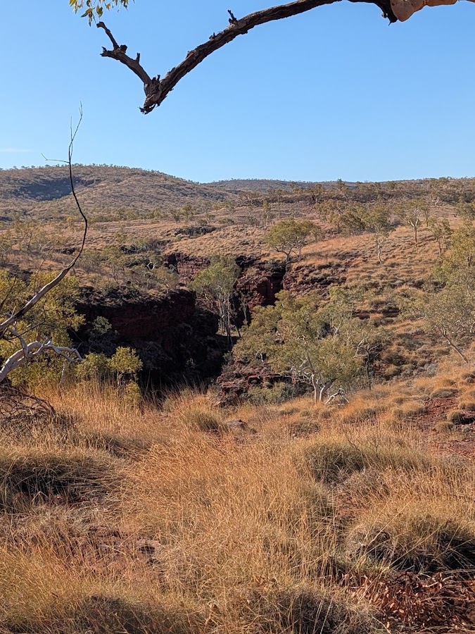 Oxer Lookout