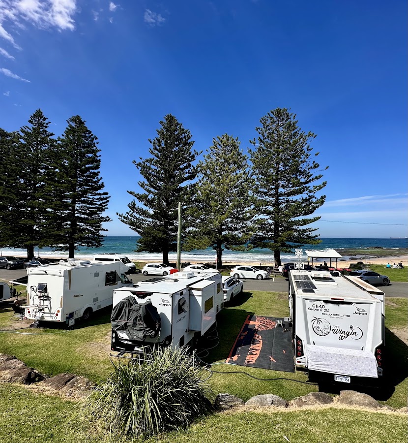 Coledale Beach Camping Reserve