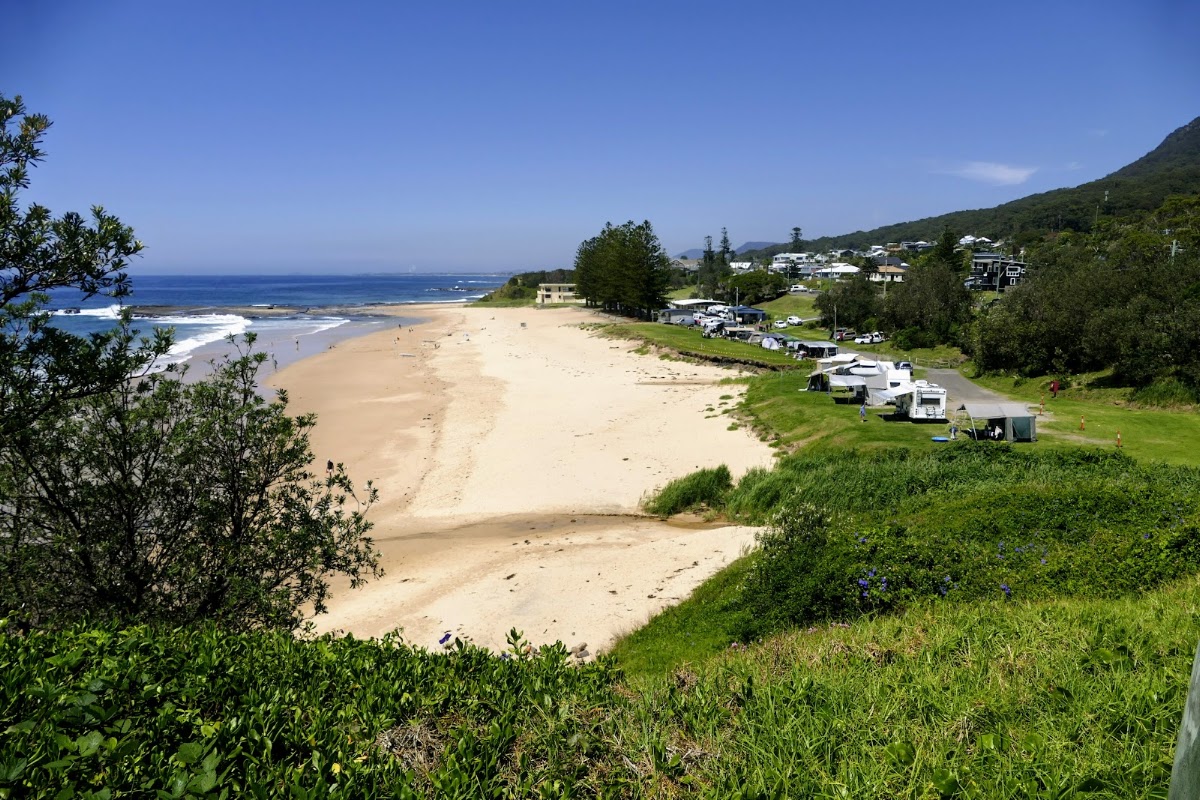 Coledale Beach Camping Reserve