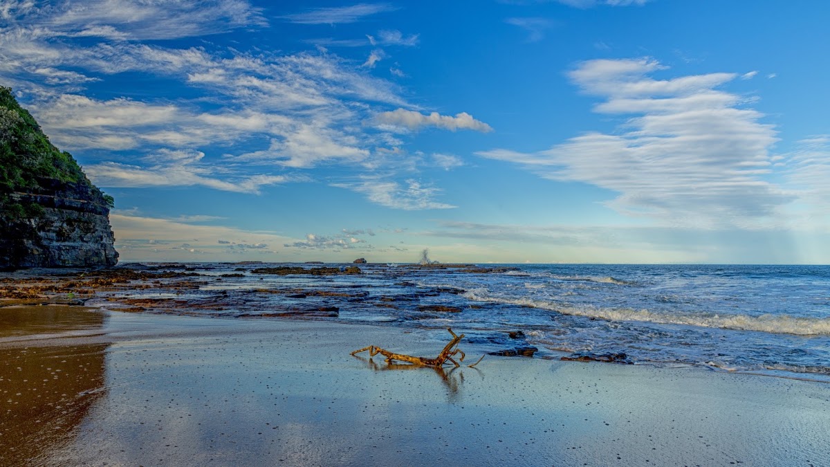 Coledale Beach Camping Reserve